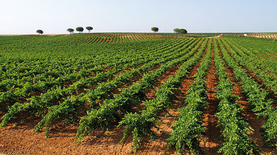 Castilla - La Mancha